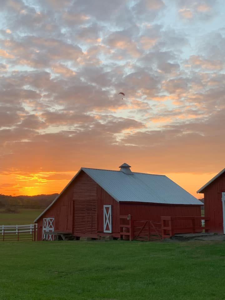 once-upon-a-farm.jpg